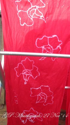 33. BUNGA JEPANG IMG_1956