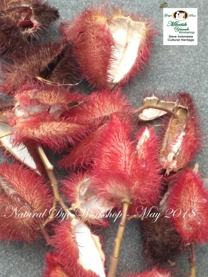 01. bixa IMG_20180505_114801